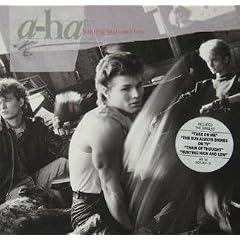 Hunting high and low (1985) / Vinyl record [Vinyl-LP]