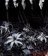 ain�ft afraid to die