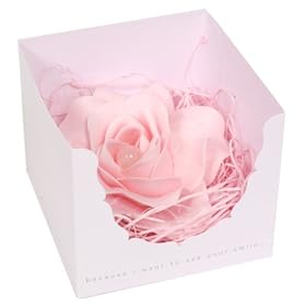 �y�����E���́z �T�{���h�D�t���[�� �p���[�X�g�[���t�����[ ���[�Y�N�H�[�c ~�A���}�̍���~ 22934
