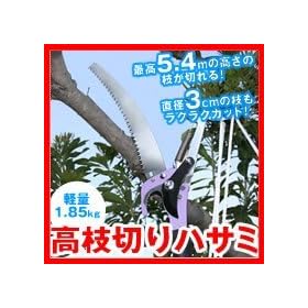TA-11�@5���[�g���̍����܂œ͂��@���}�؂�n�T�~