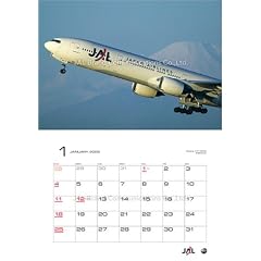 JAL�uFLEET�v(���ʔ�) 2009�N �J�����_�[