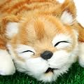 �΂��]����L�@�C�G���[