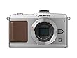 OLYMPUS PEN �}�C�N����� E-P1 �{�f�B �V���o�[ E-P1 BODY-SLV