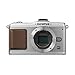 OLYMPUS �}�C�N����� PEN E-P2 �{�f�B �V���o�[ E-P2BODY-SLV