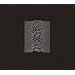 Unknown Pleasures (Bonus CD) (Reis)