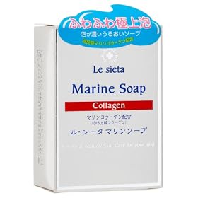 ���E�V�[�^ �}�����\�[�vN 70g