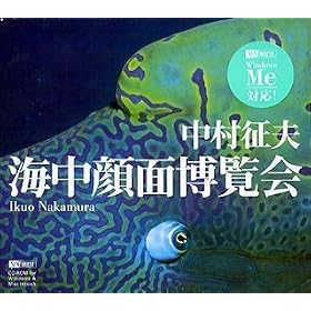 �C����ʔ����� �������v