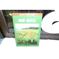 No.12 �����E�w�}�� (�x�l�|�P�b�g�K�C�h)