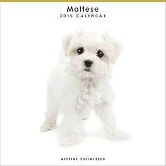 Oh“ワン”ダフル!?愛犬マルチーズに1億7000万円の遺産を…