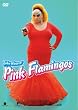 �s���N�E�t���~���S �m�[�J�b�g���ʔ� [DVD]