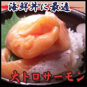 �y�󂠂�z �g���g�� �T�[���� �n���X ���h�g�p �����Ղ� 500��