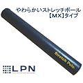 LPN�@�X�g���b�`�|�[��MX�@(�l�C�r�[)