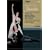 Giselle (Ws Dol Dts) [DVD] [Import]