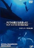 [DVD]野久保直樹 クジラの親子と出逢った!~タヒチ・ルルツ 碧の楽園の物語~ [DVD]