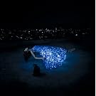 �Z�����̖�/�߂��݂̓I�[������/TWINKLE TWINKLE LITTLE STAR