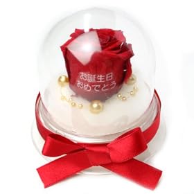 ���b�Z�[�W���[�Y (Preserved Rose) ���[�Y�h�[�� S1~��M�̃��u�W���b�N~���b�h �y���{���t���z�y���a�������߂łƂ��z 22215