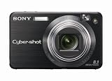  Sony Cybershot DSCW150/B 8.1MP Digital Camera with 5x Optical Zoom with Super Steady Shot (Black)