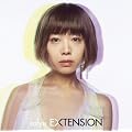 EXTENSION(��������)