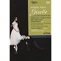 Giselle [DVD] [Import]