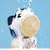BAN BAN BAN (��������)(DVD�t)