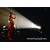 �����T�q TOUR 2008 �gEncyclopedia.�h FINAL [DVD]
