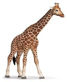 Schleich �V�����C�q �L���� (���X)