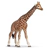 Schleich �V�����C�q �L���� (���X)
