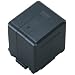 Panasonic �o�b�e���[�p�b�N VW-VBG260-K