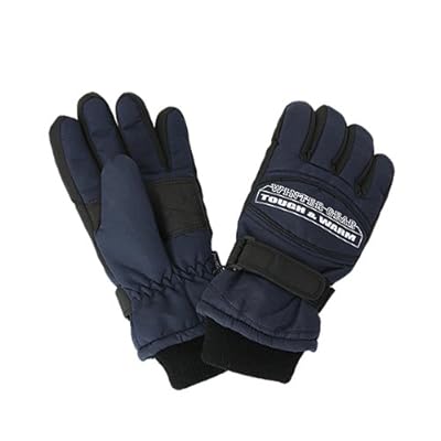 WINTER GEAR(ウィンターギア)メンズ5本指グローブ SP-200 NAVY(ネイビー)