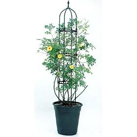��o���p��200cm�I�x���X�N��38cm���[�A�|�b�g