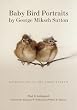 Baby Bird Portraits