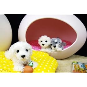 �A�����J�⃈�[���b�p�ő�u���C�N�I���܂��̌`�������y�b�g�n�E�X�I�y���܂��n�E�X�@�A�C�{���[�z