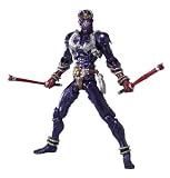  S.I.C.極魂 仮面ライダーヒビキ