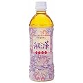 �_�ˋ����n �W���X�~���� 500ml�~24�{