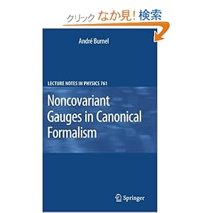 【クリックでお店のこの商品のページへ】Noncovariant Gauges in Canonical Formalism (Lecture Notes in Physics): Andre Burnel: 洋書
