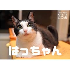 �͂������ 2012CALENDAR(�͂�����񒼉��������X�^���v�J�[�h��)