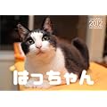 �͂������ 2012CALENDAR(�͂�����񒼉��������X�^���v�J�[�h��)