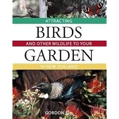 Attracting Birds and Other Wildlife to Your Garden in New Zealand