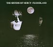 Floodland (Dig)