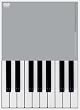 PLAYING THE PIANO/05 [DVD]