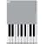 PLAYING THE PIANO/05 [DVD]
