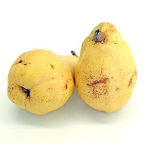 ���m���F���E���N�`�F4~5���|�b�g