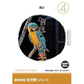 �n���f�� ������(4)��2