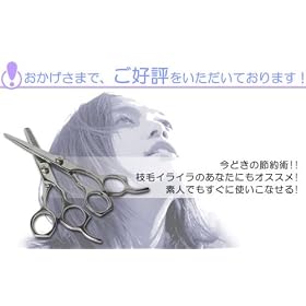 �����e �ߖ� �U�� �n�T�~ 2�{ �Z�b�g �V�U�[�o�b�O�t �U���� & �X�L�͂��� /��/�͂���/�U���p�i/���e�t/�}�ѐ؂�n�T�~
