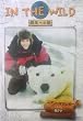 IN THE WILD~�쐶�ւ̗�~���N�} [DVD]