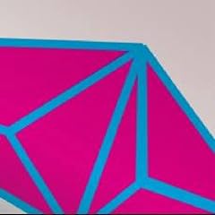 PRIMARY STRUCTURES ( �t�K���C�}��-�X�g���N�`��-�X�J ) ( ���A���� �E �у��C�i�[�t )