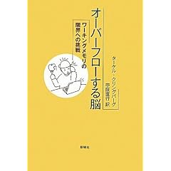 �I�[�o�[�t���[����]�\���[�L���O�������̌��E�ւ̒���