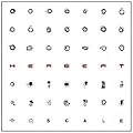 Scale [12 inch Analog]