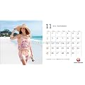 JAL�uA WORLD OF BEAUTY�v(��㔻) [2012�N �J�����_�[]
