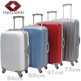 AmericanFlyer�|���J�L�����[�P�[�X54cmT�O���[��